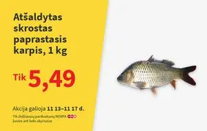 Reklaminis laikraštis Norfa, galioja nuo 2024-11-13 iki 2024-11-17.