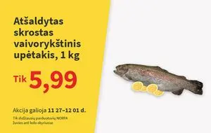 Reklaminis laikraštis Norfa, galioja nuo 2024-11-27 iki 2024-12-01.