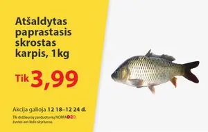 Reklaminis laikraštis Norfa, galioja nuo 2024-12-18 iki 2024-12-24.