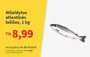 Reklaminis laikraštis Norfa, galioja nuo 2025-01-29 iki 2025-02-02.