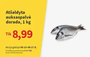 Reklaminis laikraštis Norfa, galioja nuo 2025-08-13 iki 2025-08-17.